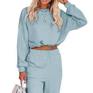 Long Sleeve Light Blue Drawstring Crop Top Sz S